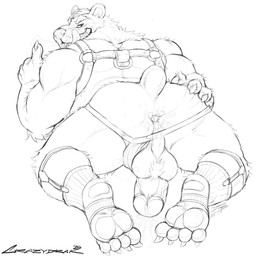 anthro anus barazoku bodily_fluids butt clothing clothing_aside cum cum_in_ass cum_inside gaping gaping_anus genital_fluids harness jockstrap jockstrap_aside licking licking_lips licking_own_lips looking_at_viewer male muscular muscular_anthro muscular_male narrowed_eyes open_mouth open_smile overweight overweight_anthro overweight_male pawpads presenting presenting_anus presenting_hindquarters rear_view simple_background smile solo tongue tongue_out underwear underwear_aside crazydrak bear mammal 1:1 2025 dated hi_res monochrome signature sketch