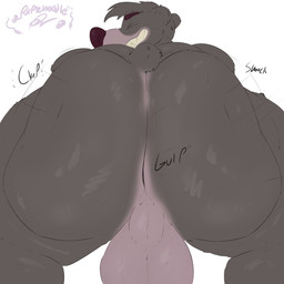 after_vore anal anal_vore anthro anus ass_clapping balls big_balls big_butt butt butt_clench clenching eyes_closed fur genitals grey_body grey_fur huge_balls huge_butt male male_pred solo vore purplen00dle disney the_jungle_book baloo bear mammal 1:1 absurd_res hi_res