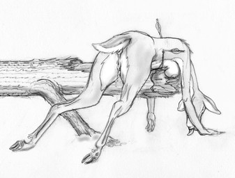 anthro anus arrow_(weapon) arrowed bent_over breasts cloven_hooves death female genitals gore gore_focus hooves log nipples nude ranged_weapon snuff solo tongue tongue_out vulva weapon wood horsemage deer mammal graphite_(artwork) greyscale monochrome traditional_media_(artwork)