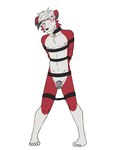 anthro arms_tied balls bdsm bondage bound chastity_cage chastity_device collar collar_only flaccid genitals hands_behind_back humanoid_genitalia humanoid_penis legs_tied male navel nipples nude penis pokeball pokeball_collar simple_background solo white_background fuze nintendo pokemon generation_7_pokemon lycanroc midnight_lycanroc pokemon_(species) 3:4 full-length_portrait hi_res portrait