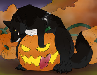 animal_genitalia animal_penis bared_teeth black_body black_claws black_fur black_pawpads canine_genitalia canine_penis claws feral fur genitals glistening glistening_eyes looking_at_viewer male male_feral masturbation outside pawpads penetrating_pumpkin penetration penile penile_masturbation penile_penetration penis solo white_body white_fur yellow_eyes killthe_demon echo_(wolffylegend) canid canine mammal hi_res