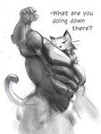 abs armpit_tuft biceps big_muscles huge_muscles low-angle_view male muscular muscular_male raised_arm text drakei domestic_cat felid feline felis mammal monochrome sketch