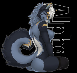 anthro bangs black_background blue_body blue_eyes blue_fur blue_nose breasts butt clothing female fur legwear looking_at_viewer nipples pose simple_background sitting solo stockings tail text accelo angel_(accelo) canid canine canis mammal wolf hi_res