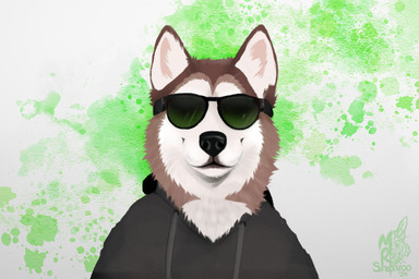 anthro black_clothing black_hoodie black_nose black_sweater black_topwear brown_body brown_fur cheek_tuft clothing eyewear facial_tuft fluffy fur green_background green_paint hoodie looking_at_viewer male paint simple_background solo sunglasses sunglasses_on_face sweater topwear tuft wearing_sunglasses whiskers white_background white_body white_fur mrsheparoo sheparoo tubberpupperhusker_(character) canid canine canis domestic_dog husky mammal nordic_sled_dog spitz 3:2 headshot_portrait portrait