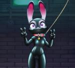 alec8ter anthro bdsm bodysuit clothed clothing collar collar_tag conditional_dnp dipstick_ears disney female flat_chested front_view gag gag_mask gagged gesture gimp_suit hand_gesture hi_res huebris judy_hopps lagomorph latex leash leporid looking_at_viewer mammal mask multicolored_ears rabbit skinsuit solo text tight_clothing v_sign zipper zootopia
