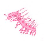 ambiguous_gender dot_eyes feral multi_leg multi_limb pink_body simple_background solo spikes spikes_(anatomy) spines tentacles white_background bluedoodlings hallucigenia lobopod marine worm xenusiid 2020 digital_drawing_(artwork) digital_media_(artwork)