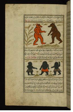 5_fingers anthro biped bottomwear clothed clothed_human clothed_male clothing duo featureless_chest featureless_crotch fingers grass group hair humanoid_hands male nude nude_anthro nude_male plant plantigrade side_view snout standing text text_box topless topless_human topless_male trio muhammad_ibn_muhammad_shakir_ruzmah-'i_nathani marvels_of_creation public_domain canid human jinn_(mythology) mammal 1717 18th_century ancient_art hi_res multiple_images traditional_media_(artwork) turkish_text