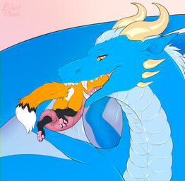 anthro black_body black_fur blue_body blue_scales bodily_fluids duo female female_feral feral feral_pred fur horn larger_feral larger_pred male male/female male_anthro mawplay open_mouth orange_body orange_fur predator/prey safe_vore saliva salive_string scales size_difference soft_vore struggling struggling_prey swallowing tongue tongue_out tounge_wrap vore white_body white_fur willing_prey blacknova mythology canid canine dragon fox mammal mythological_creature mythological_scalie red_fox scalie true_fox