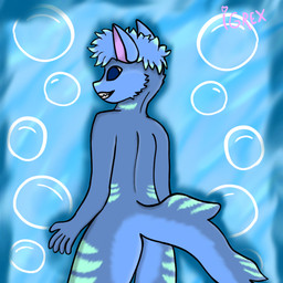 5_fingers abstract_background anthro blue_background blue_eyes blue_hair bubble countershading fingers grey_body hair male rear_view shark_tail sharp_teeth simple_background solo tail teeth text igrex aquatic fish hybrid shark 1:1 portrait signature three-quarter_portrait