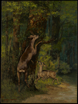 2_horns ambiguous_feral ambiguous_gender antlers cloven_hooves detailed_background duo feral forest forest_background fur hooves horn leaf looking_up lying on_hind_legs on_side outside painterly plant quadruped standing tan_body tan_fur tree unguligrade gustave_courbet public_domain deer mammal 1868 19th_century absurd_res ancient_art dated hi_res oil_painting_(artwork) painting_(artwork) signature traditional_media_(artwork) traditional_painting_(artwork)