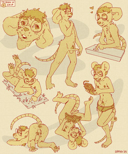 anthro anus armpit_hair balls body_hair briefs butt claws clothing erection eyewear foreskin genitals glasses handheld_console heart_symbol humanoid_genitalia humanoid_penis magazine male nerd nude penis plantigrade presenting presenting_hindquarters pubes reading skinny small_penis solo tail text underwear obrien_(artist) game_boy game_boy_family nintendo chip_(obrien) mammal mouse murid murine rodent 5:6 artist_name hi_res multiple_images sketch_page