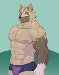 abs animal_crossing anthro anthrofied black_clothing black_nose black_underwear brown_body brown_fur bulge canid canine canis clothed clothing eyebrows fur hi_res kyle_(animal_crossing) looking_at_viewer male mammal muscular muscular_anthro muscular_male nintendo nipples open_mouth pecs pink_nipples simple_background solo topless tsukigata_rossi underwear wolf