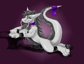 black_claws black_pawpads black_penis claws collar erection feral fur genitals glistening glistening_eyes glistening_pawpads green_eyes grey_body grey_fur grey_tail knot looking_at_viewer male pawpads penis purple_collar semi-anthro side_view simple_background solo tail unsigned white_tail yaoifairy mythology sang dragon furred_dragon furred_scalie mythological_creature mythological_scalie scalie