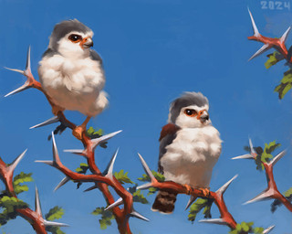 beak black_claws blue_sky branch brown_eyes brown_markings claws duo feathers feral grey_beak grey_head grey_wings leaf markings on_branch orange_markings orange_talons perching sky thorns white_body white_feathers wings alexpahomov avian bird falcon falconid pygmy_falcon 2024 5:4 digital_media_(artwork) digital_painting_(artwork) painting_(artwork)