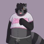 anthro big_tail blep bottomwear clothing crop_top ear_piercing male overweight overweight_male pants piercing plushie shirt solo standing stitch_(sewing) sweatpants tail tongue tongue_out topwear francium420 thrasher_magazine adam_(noelleallowed) mammal procyonid raccoon