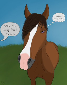 ambiguous_gender blue_sky brown_body brown_fur covered_eye emo_haircut feral fur grass humor joke looking_at_viewer mane markings outside pink_nose plant purple_eyes sky solo speech_bubble white_markings maklykan equid equine horse mammal hi_res