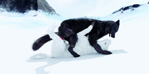 animal_genitalia animal_penis anus balls black_body black_fur canine_genitalia canine_penis day duo female female_penetrated feral feral_on_feral feral_penetrated feral_penetrating feral_penetrating_feral from_front_position fur genitals knot lying male male/female male_penetrating male_penetrating_female on_back outside penetration penis reverse_missionary_position sex snow white_body white_fur trioami260 canid canine canis mammal wolf 3d_(artwork) 3d_animation animated digital_media_(artwork) long_playtime