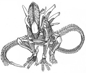 4_toes ambiguous_gender anthro claws crouching eyeless feet front_view heel_claw long_tail solo tail teeth toes predaguy alien_(franchise) alien xenomorph hi_res