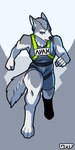 action_pose anthro athletic athletic_anthro athletic_female female harness pose solo gasmaskfox sasha_(gasmaskfox) canid canine canis domestic_dog husky mammal nordic_sled_dog siberian_husky spitz absurd_res hi_res