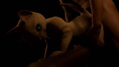 ambiguous_gender anthro black_background depth_of_field duo simple_background thrusting degeneroid capcom monster_hunter felid felyne human lynian mammal palico 16:9 3d_(artwork) 3d_animation animated digital_media_(artwork) hi_res loop no_sound short_playtime video widescreen