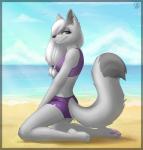 2017 4_toes anthro beach biped breasts claws clothed clothing digital_media_(artwork) dipstick_tail domestic_cat ear_piercing eyebrows eyelashes feet felid feline felis female fur grey_body grey_fur hair hair_over_eye half-closed_eyes hi_res kneeling looking_at_viewer mammal markings multicolored_tail narrowed_eyes one_eye_obstructed piercing purple_eyes sand seaside sidnithefox simple_background smaller_version_at_source smile solo swimwear tail tail_markings toe_claws toes