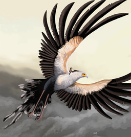 4_toes ambiguous_gender anisodactyl arm_support beak_closed carrying_another duo extreme_size_difference feathered_tail feathered_wings feathers feet feral flying forward_arm_support happy larger_ambiguous larger_feral macro male riding riding_on_back size_difference sky smaller_human smaller_male spread_wings straddling tail toes wings hodarinundu terus_(kargaroc586) accipitriform avian bird human mammal secretary_bird 2024 absurd_res digital_media_(artwork) digital_painting_(artwork) hi_res painting_(artwork)