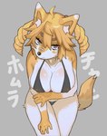 5_fingers ahoge annoyed anthro arm_tuft arm_under_breasts bandage bandage_on_face bandage_on_nose big_breasts bikini black_nose blonde_hair blush blush_stickers breasts cleavage clothed clothed_anthro clothed_female clothing curled_hair dipstick_tail drill_curls eyebrows eyelashes female female_anthro fingers fur glare gloves_(marking) grey_background hair huge_breasts inner_ear_fluff kemono leaning leaning_forward looking_at_viewer markings multicolored_body multicolored_ears multicolored_fur nipple_outline nipples_visible_through_clothing orange_eyes simple_background solo swimwear tail tail_markings text translucent translucent_bikini translucent_clothing translucent_swimwear tuft two-piece_swimsuit white_body white_fur yellow_body yellow_fur azi_4081 canid canine canis domestic_dog fox mammal shiba_inu spitz 2021 digital_media_(artwork) hi_res japanese_text portrait three-quarter_portrait translated