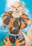 5_fingers anthro big_bulge black_body black_fur bulge clothing detailed_bulge fingers fur looking_at_viewer male muscular muscular_anthro muscular_male one_eye_closed orange_body orange_fur sky smile solo striped_body striped_fur stripes swimwear wink rossciaco nintendo pokemon arcanine canid canine generation_1_pokemon mammal pokemon_(species) 2023 hi_res