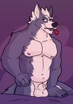 animal_genitalia anthro ball_tuft balls bedroom bedroom_eyes flower fully_sheathed genitals kneeling_on_bed male musclegut muscular narrowed_eyes nipples plant rose_(flower) scruffy seductive sheath solo tuft weirdmarks nintendo star_fox wolf_o'donnell canid canine canis mammal wolf hi_res