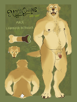 anthro balls chest_tuft circumcised ear_piercing ear_ring eyebrow_slit eyebrows facial_piercing flaccid genital_piercing genitals humanoid_genitalia humanoid_penis male male_anthro multiple_angles nipple_piercing nipple_ring nipples nose_piercing nose_ring nude nude_anthro nude_male open_mouth open_smile overweight overweight_anthro overweight_male penis penis_piercing piercing prince_albert_piercing pubes ring_piercing scratching_butt smile solo standing tail teeth tongue tuft chubchow moonshine_(chubchow) bird_dog canid canine canis domestic_dog hunting_dog labrador mammal retriever 2024 3:4 absurd_res hi_res model_sheet