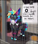 ambiguous_gender cage caged ear_piercing feral fur hair humor looking_aside multicolored_body multicolored_fur multicolored_hair piercing sign solo sparklefur standing text thecatherd felid feline mammal 2023 absurd_res english_text hi_res