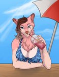 5_fingers anthro beach_umbrella beachwear beverage big_breasts bikini blue_eyes bra breasts brown_hair clothed clothing cloud ear_piercing facial_piercing female fingers fluffy fur hair heart_(marking) heart_mole heart_symbol highlights_(coloring) humanoid_hands looking_at_viewer markings mole_(marking) neck_tuft nipple_outline nose_piercing nose_ring outside parasol piercing pink_body pink_fur ring_piercing septum_piercing sipping sitting sky smile smoothie solo swimwear tuft two-piece_swimsuit umbrella underwear wavy_hair chiralchimera charlotte_genevieve canid canine canis domestic_dog mammal nordic_sled_dog samoyed spitz colored digital_drawing_(artwork) digital_media_(artwork) hi_res shaded