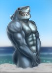 abs anthro biceps black_eyes covering covering_crotch male muscular muscular_male nails navel nipples pecs sea sharp_teeth sky smile solo teeth triceps water r-n dc_comics king_shark fish marine shark hi_res