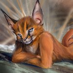 anthro blurred_background detailed_background fur looking_at_viewer lying male on_front orange_body orange_fur solo stampmats caracal caracal_(genus) felid feline lynx mammal 1:1 hi_res