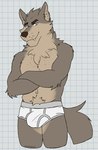 anthro bedroom_eyes belly biped body_hair briefs briefs_only brown_eyebrows brown_nose bulge checkered checkered_background chest_hair clothed clothing crossed_arms eyebrows fur green_eyes grey_body grey_fur happy_trail inner_ear_fluff looking_down male male_anthro mane multicolored_body muscular muscular_anthro muscular_male narrowed_eyes navel neck_tuft partially_clothed partially_clothed_male pattern_background raised_eyebrow seductive simple_background solo standing tan_body tan_fur tan_inner_ear tan_inner_ear_fluff thick_thighs toothy_grin topless tuft underwear underwear_only whiskers white_background white_briefs white_clothing white_underwear unsafescapewolf far_beyond_the_world_(series) ranok_(far_beyond_the_world) canid canine canis mammal wolf 2024 digital_drawing_(artwork) digital_media_(artwork) hi_res portrait three-quarter_portrait