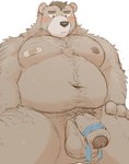 anthro balls band-aid bandage belly big_belly black_nose bodily_fluids brown_body brown_fur fur genital_fluids genitals kemono male moobs navel nipples overweight overweight_male penis precum solo hagom bear mammal 2024 hi_res