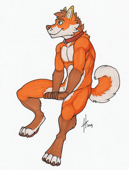 anthro athletic athletic_anthro athletic_male blue_eyes brown_body brown_claws brown_fur brown_hair brown_nose claws collar fur gloves_(marking) hair leg_markings male male_anthro markings mouth_closed nude orange_body orange_fur orange_tail red_collar short_hair simple_background sitting socks_(marking) solo tail white_background white_body white_fur white_tail hufnaar canid canine mammal 2019 dated hi_res traditional_media_(artwork)
