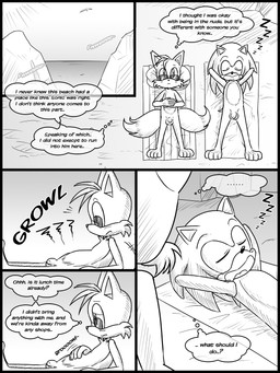 anthro balls beach black_border border duo eyewear genitals lying male nude on_back outside penis sunglasses text young young_anthro young_male malezor sega sonic_the_hedgehog_(series) miles_prower sonic_the_hedgehog canid canine eulipotyphlan fox hedgehog mammal 2017 comic english_text hi_res