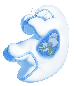 after_vore anthro anthro_pred blue_internal blue_spots blush endosoma feral feral_pred fur green_body group inside_stomach plushie_pred safe_vore sleeping sound_effects spots trio vore vowelless vowelless_sound_effect white_arms white_body white_fur white_legs zzz entitycore animate_inanimate canid canine fox living_pillow mammal reptile scalie 2026