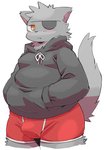 anthro boxer_briefs bulge clothing eye_patch eyewear hand_in_pocket hands_in_both_pockets hoodie looking_at_viewer male overweight overweight_male pockets simple_background slightly_chubby solo standing topwear underwear white_background si_ra_ta_ma3 felid feline mammal