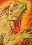 aceo ambiguous_gender branch climbing_tree feral orange_background orange_body orange_scales orange_spines scales simple_background solo yellow_body yellow_eyes yellow_scales selianth iguana iguana_(genus) iguanid lizard reptile scalie 2015 low_res