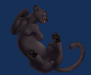 amber_eyes animal_genitalia animal_vulva anus black_body black_fur black_nose black_pawpads butt feline_genitalia feline_vulva female feral fur genitals high-angle_view looking_at_viewer lying on_back open_mouth pawpads paws playful presenting presenting_hindquarters presenting_vulva raised_paw smile solo spread_legs spreading tail tail_anus tongue tongue_out vulva roughlady zihole_(mwendo) felid leopard mammal pantherine 2025 alpha_channel digital_media_(artwork) portrait shaded signature