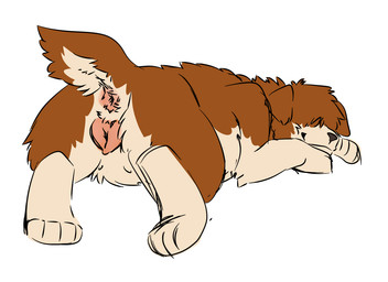 animal_genitalia animal_vulva anus ass_up brown_body brown_fur brown_hair butt canine_genitalia canine_vulva cheek_tuft facial_hair facial_tuft feet female feral fluffy fur genitals hair looking_at_viewer looking_back nude paws red_body red_fur simple_background slightly_chubby smile solo tail tan_body tan_fur thick_thighs toes tuft vulva white_body white_fur xphantomk ozzy_(xphantomk) canid canine canis domestic_dog mammal digital_media_(artwork) trans_(lore) trans_man_(lore)