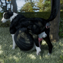 almost_fully_inside anal anal_head_gulp anal_vore animal_genitalia animal_penis canine_genitalia canine_penis duo erection feral feral_pred feral_prey genitals knot knotted_penis male male/male park penis vore thehellfirehorse border_collie canid canine canis collie domestic_dog herding_dog mammal pastoral_dog sheepdog 1:1 3d_(artwork) digital_media_(artwork) hi_res