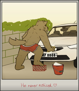 accident accidental_exposure anthro bottomwear butt candid caption car car_wash casual_exposure clothed clothing hotpants male oblivious partially_clothed photo picture_frame shorts solo vehicle wardrobe_malfunction antrimbull canid canine canis domestic_dog mammal absurd_res hi_res