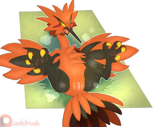 beak blush bodily_fluids claws embarrassed feathers feet female feral genitals grass lying nude on_back open_mouth orange_body orange_feathers plant solo spread_legs spreading sweat tail talons toes tongue vulva backsash nintendo pokemon avian bird galarian_form galarian_zapdos generation_8_pokemon legendary_pokemon pokemon_(species) regional_form_(pokemon) 2025 digital_media_(artwork) hi_res