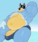 anthro armpit_hair barazoku bedroom_eyes belly belly_overhang biceps big_belly big_bulge big_muscles big_penis blue_background body_hair bulge clothed clothing erection erection_under_clothing eyebrows fur genitals hand_behind_head huge_belly huge_bulge huge_muscles huge_penis humanoid_genitalia humanoid_penis ineffective_clothing looking_at_viewer love_handles male musclegut muscular muscular_anthro muscular_male narrowed_eyes navel nipples overweight overweight_anthro overweight_male pecs penis penis_base seductive simple_background sitting smile solo speedo swimwear thick_arms thick_thighs topless topless_anthro topless_male tuft vein milkblend bluey_(series) bandit_heeler australian_cattle_dog canid canine canis cattledog domestic_dog herding_dog mammal pastoral_dog 2025 hi_res