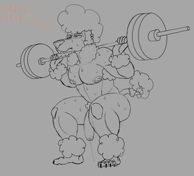 anthro bodily_fluids ear_piercing exercise facial_hair genital_fluids male muscular muscular_male nude piercing precum solo sweat thick_thighs weightlifting weights workout mushmushy canid canine canis domestic_dog mammal poodle hi_res sketch