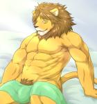 abs anthro biceps biped black_nose brown_hair bulge fur hair male muscular muscular_anthro muscular_male nude pecs sitting smile solo towel yellow_body yellow_eyes yellow_fur wildheit felid lion mammal pantherine