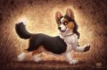 black_body black_fur brown_eyes canid canine canis dipstick_tail dolphydolphiana domestic_dog feral fur grass herding_dog mammal markings multicolored_tail open_mouth pastoral_dog plant solo tail tail_markings teeth welsh_corgi white_body white_fur